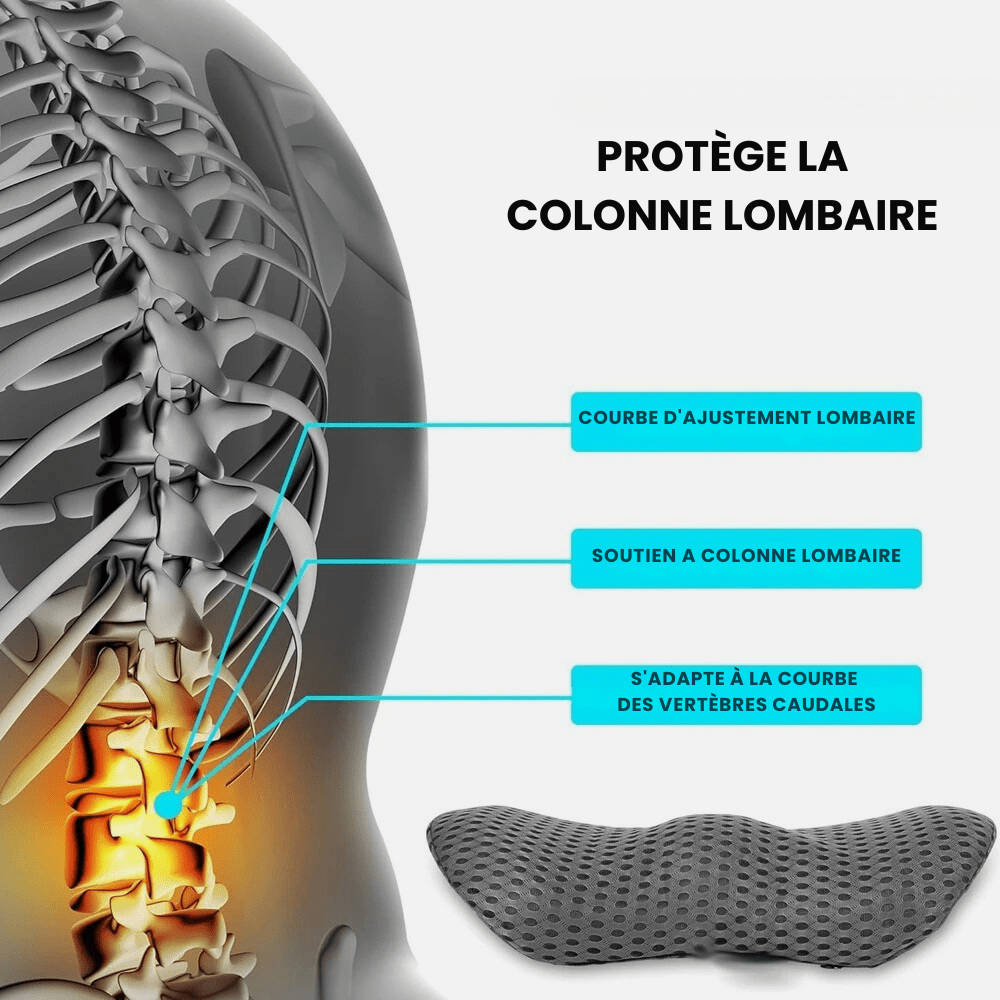 Paradis du lecteur - Coussin de lecture lombaire ergonomique