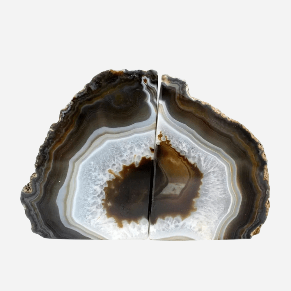 Serre livre design | Agate | Paradis du lecteur Agate Originale